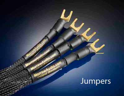 SP2 Speaker Jumpers