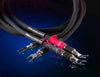 Speaker Cables - Single (1 cable)